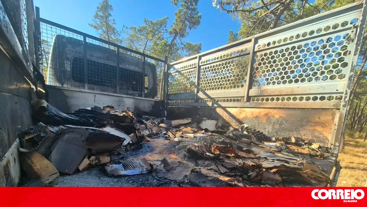Vehicle and rubbish bins set on fire in Vila Real de Santo António. PJ investigating