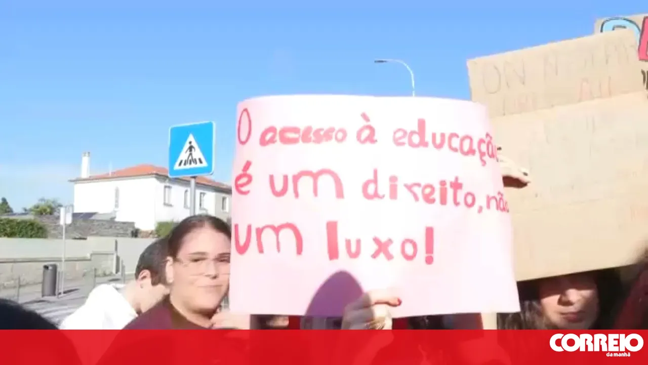 Students from the French Lyceum in Porto protest in solidarity with the student movement in France