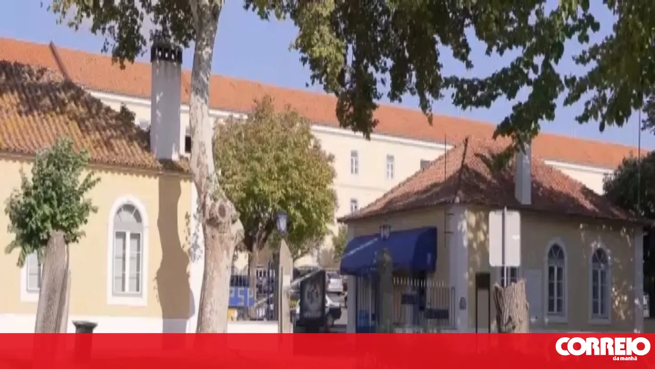 Bedbugs infest accommodation at the PSP Practical School in Torres Novas