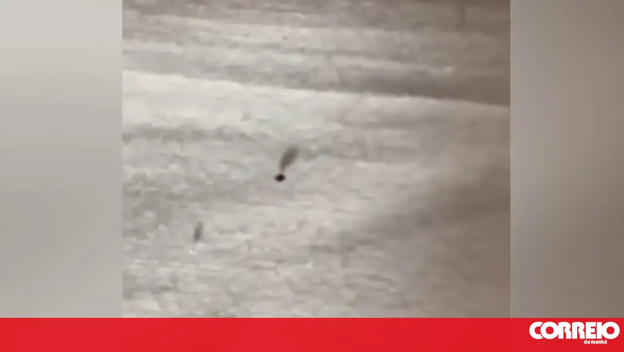 Students at the PSP police academy filmed bedbugs in the dormitories