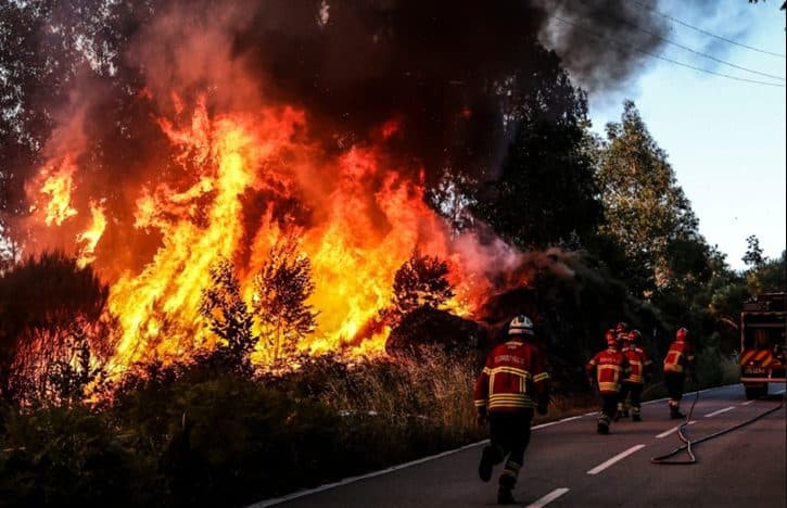 Portugal leads tragedy in southern Europe: fire has already devoured more than 13,000 hectares