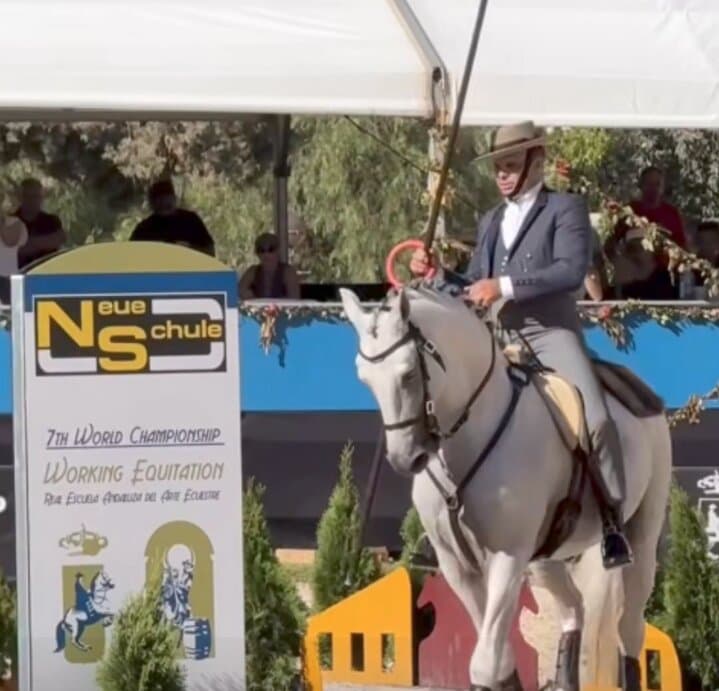 Portugal on top of the world: Gilberto Filipe wins world title in equestrianism