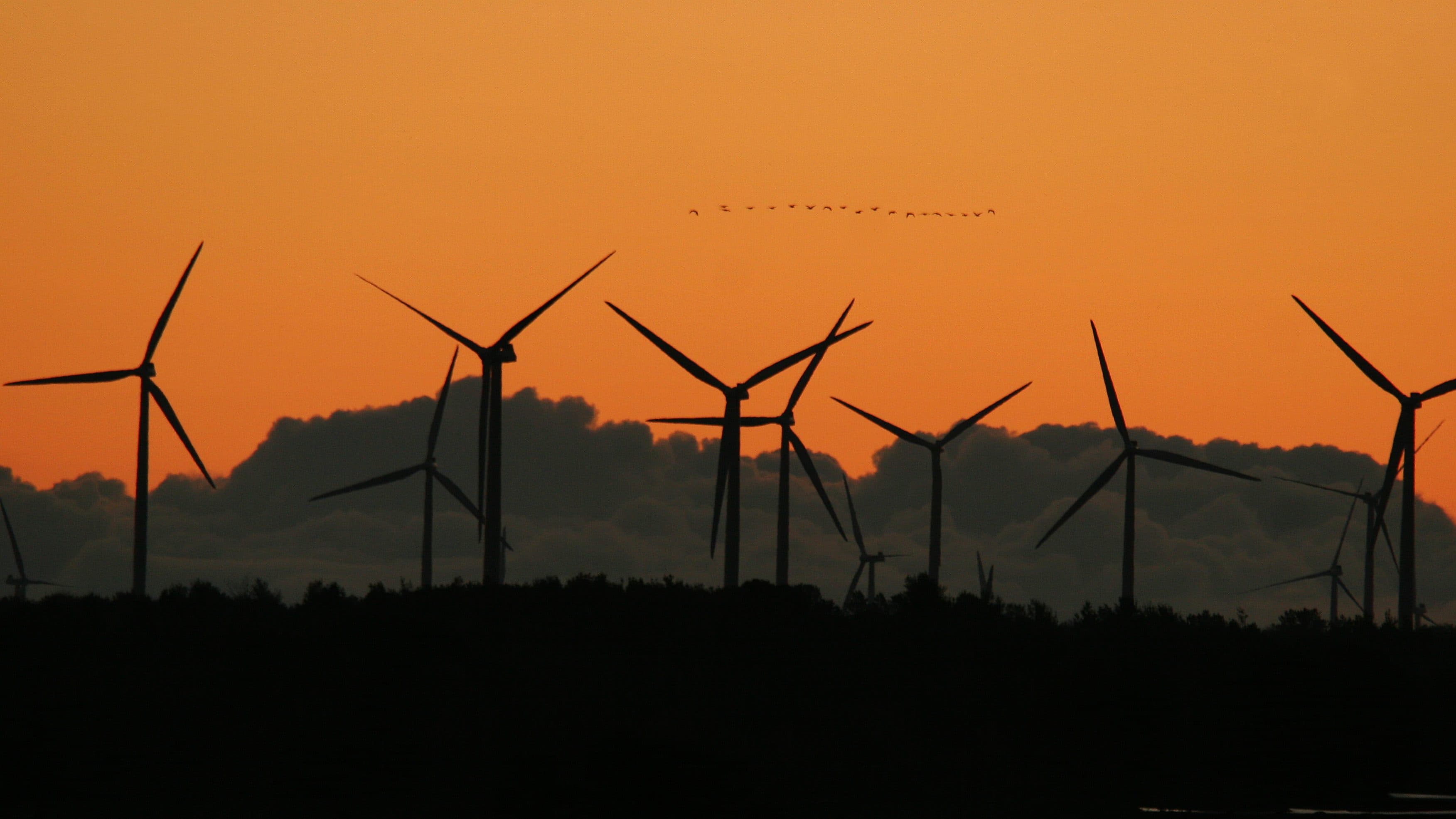 Galp buys 15 wind farms in Spain valued at 420 million