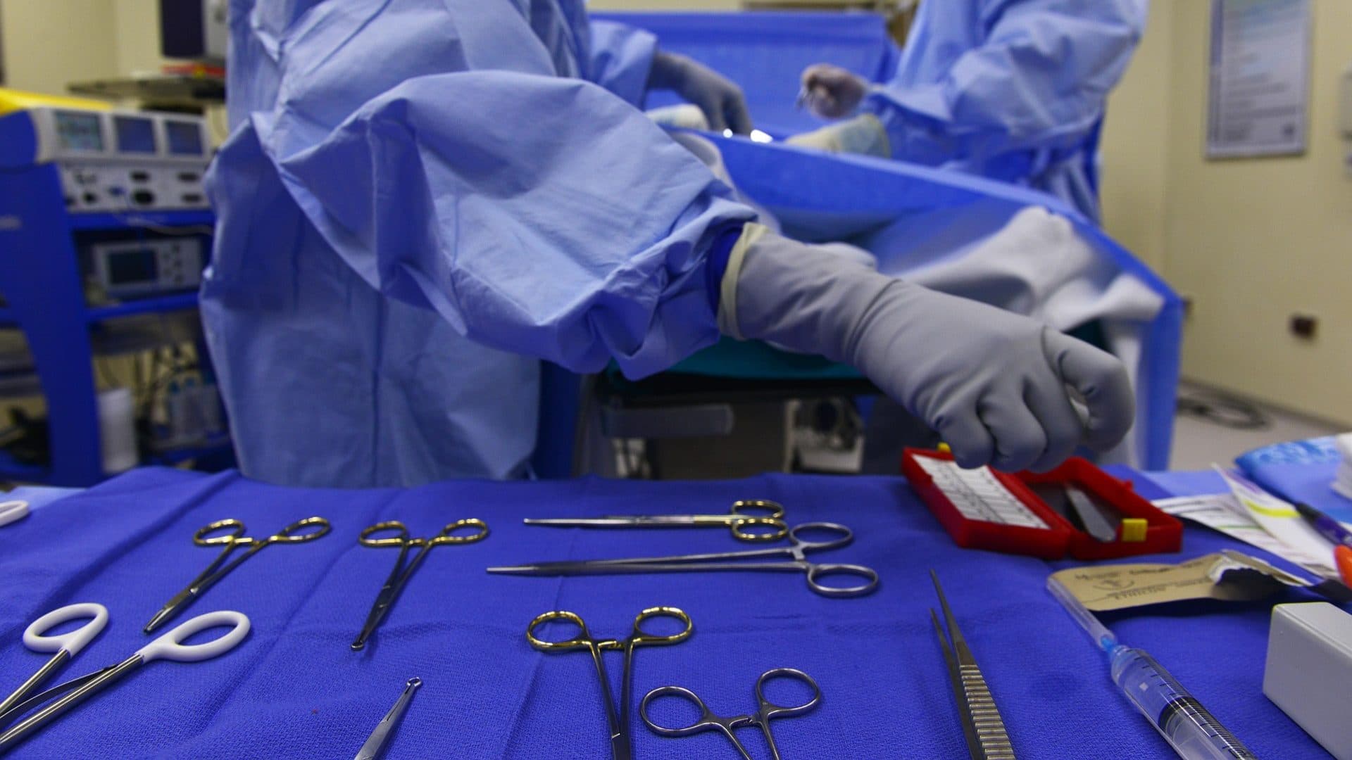 Porto researchers validate strategy for colorectal cancer vaccines
