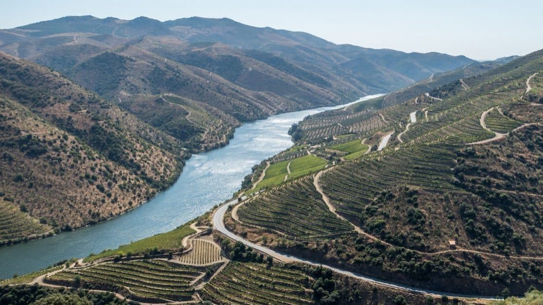 Uprooting vines, distilling, and adding value: How the Douro region seeks to 'prune' the crisis