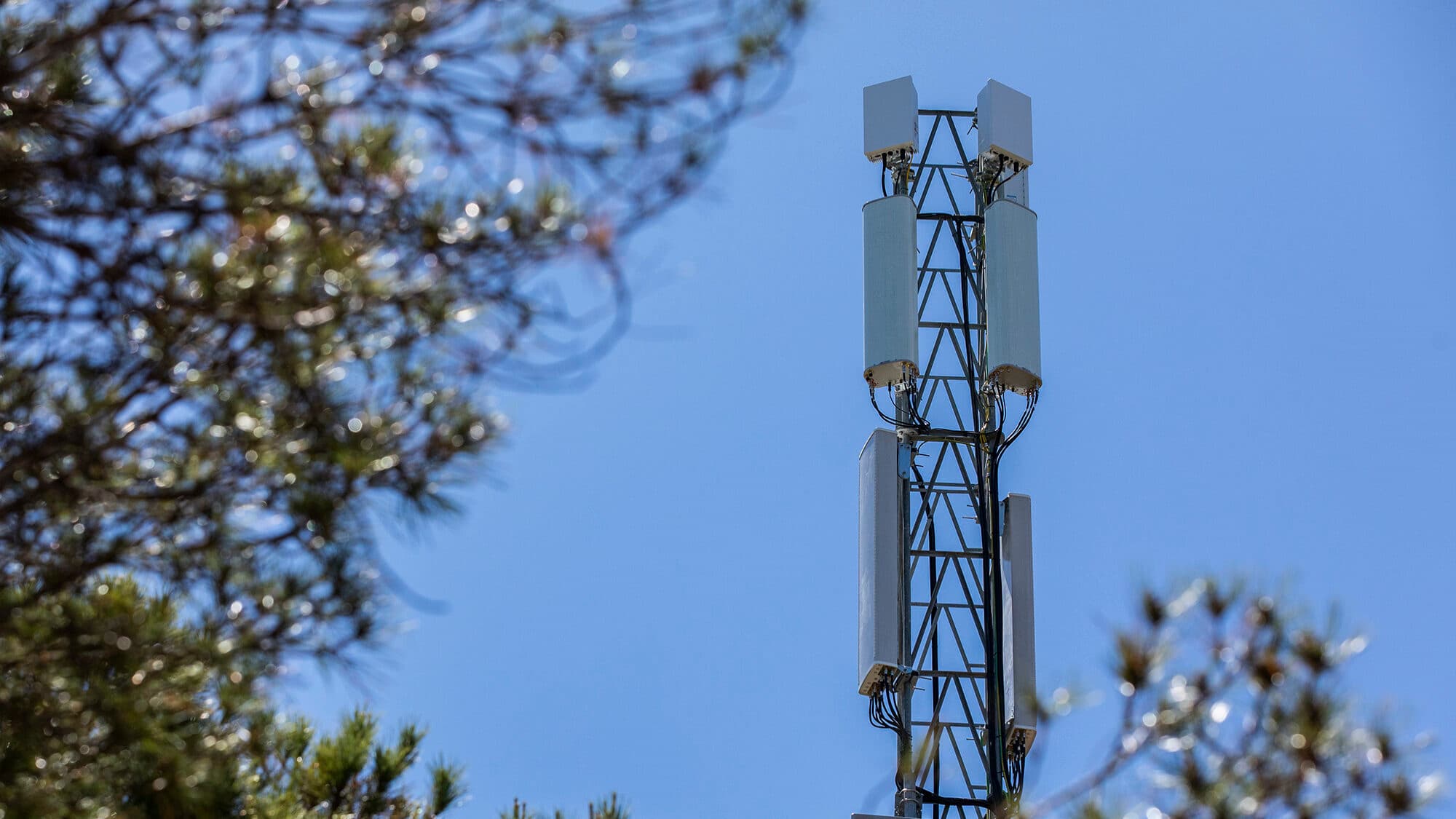 Operators may extend licence renewals if they invest in network resilience