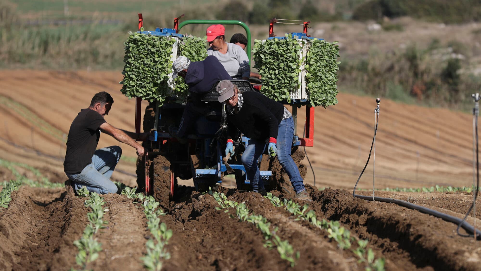 Government receives 162 million from Brussels to support farmers affected by the fertiliser crisis