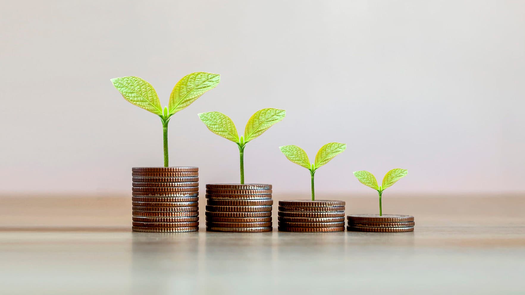 Failure to implement the Climate Framework Law threatens 'green' investment