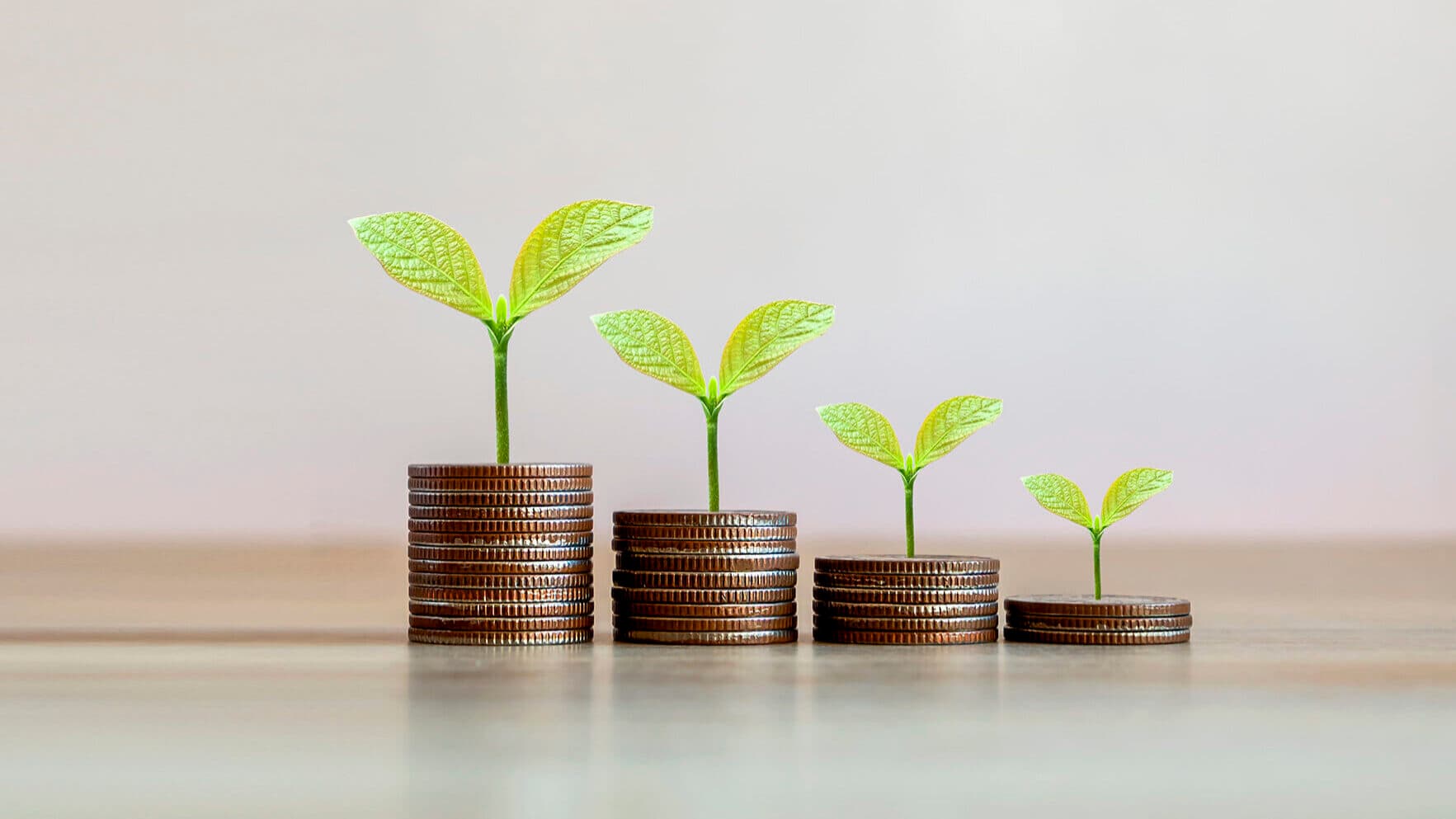 Government allocates €60 million to modernize national electrical grid