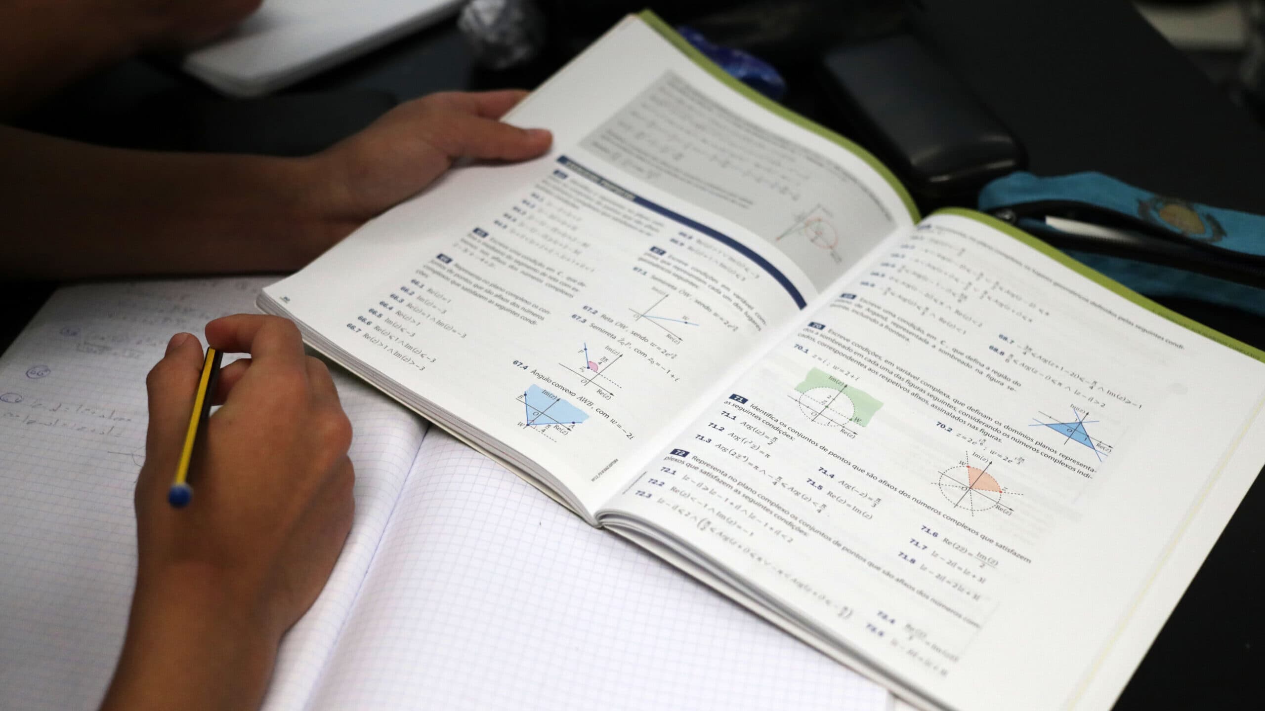 Exams: Luís de Camões school asks parent-teachers for help with grade reviews