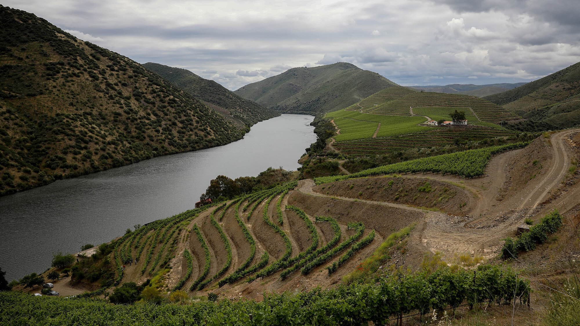 Guarda Polytechnic University brings together wine houses for wine tourism course in Foz Côa