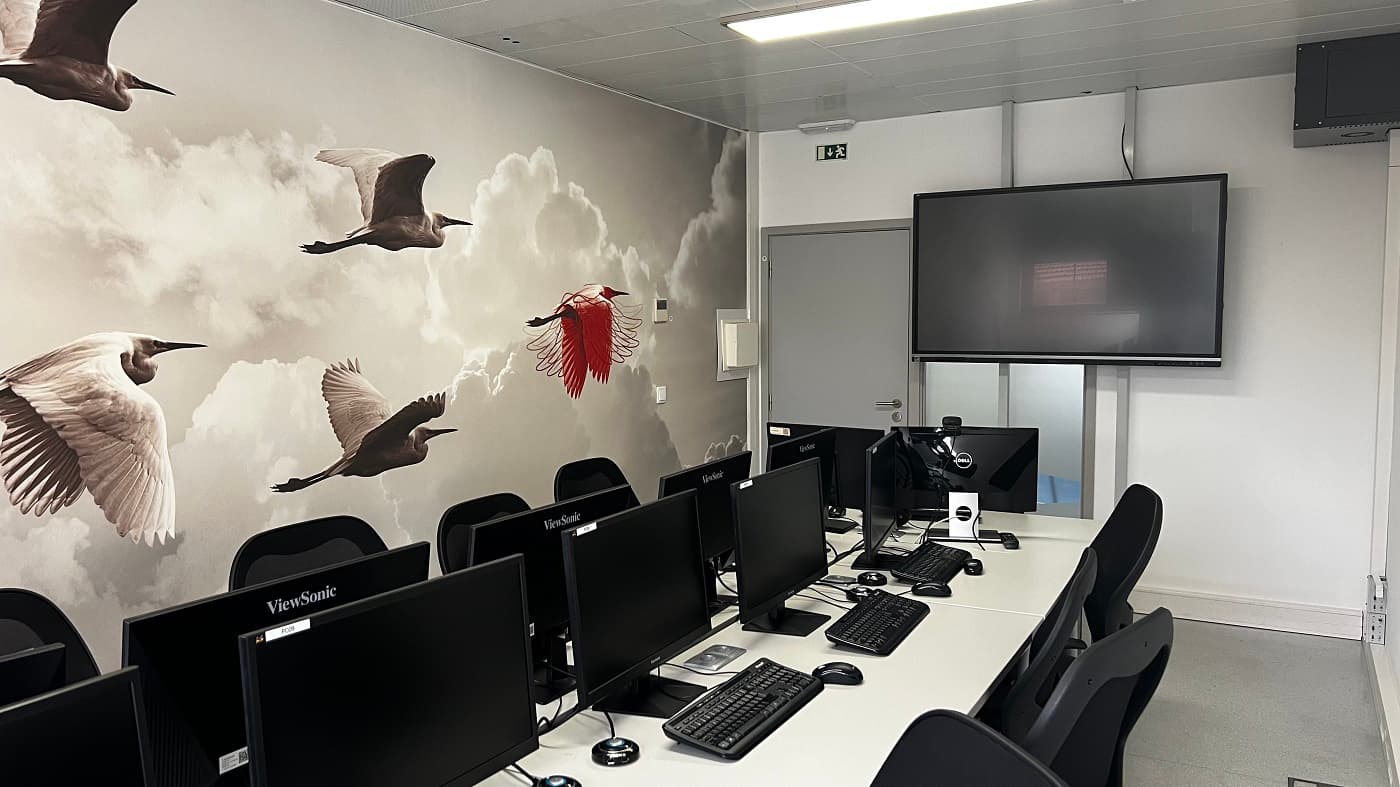 Distance learning gains ground, but in-person format resists in 'soft skills'