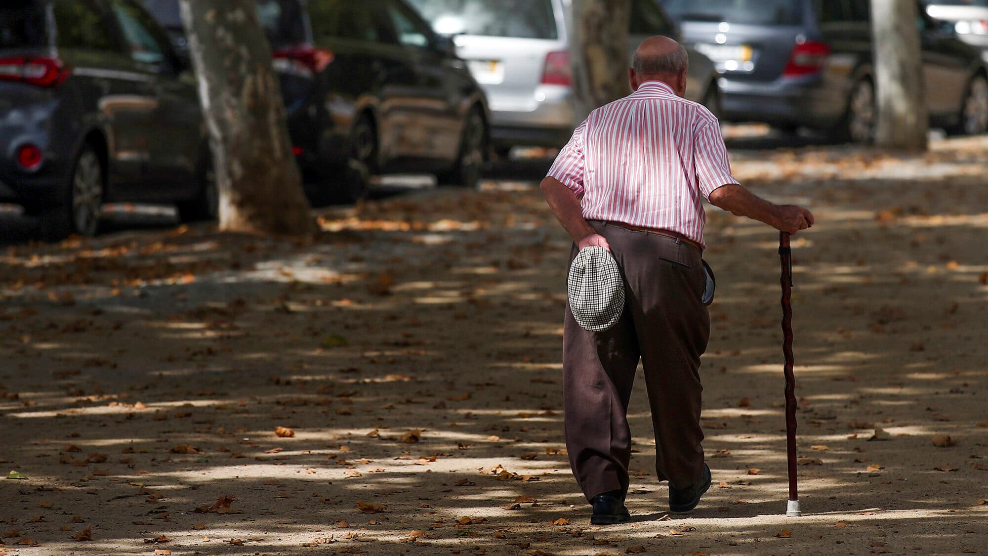 What unites and divides the experts of Costa and Montenegro on Social Security reform