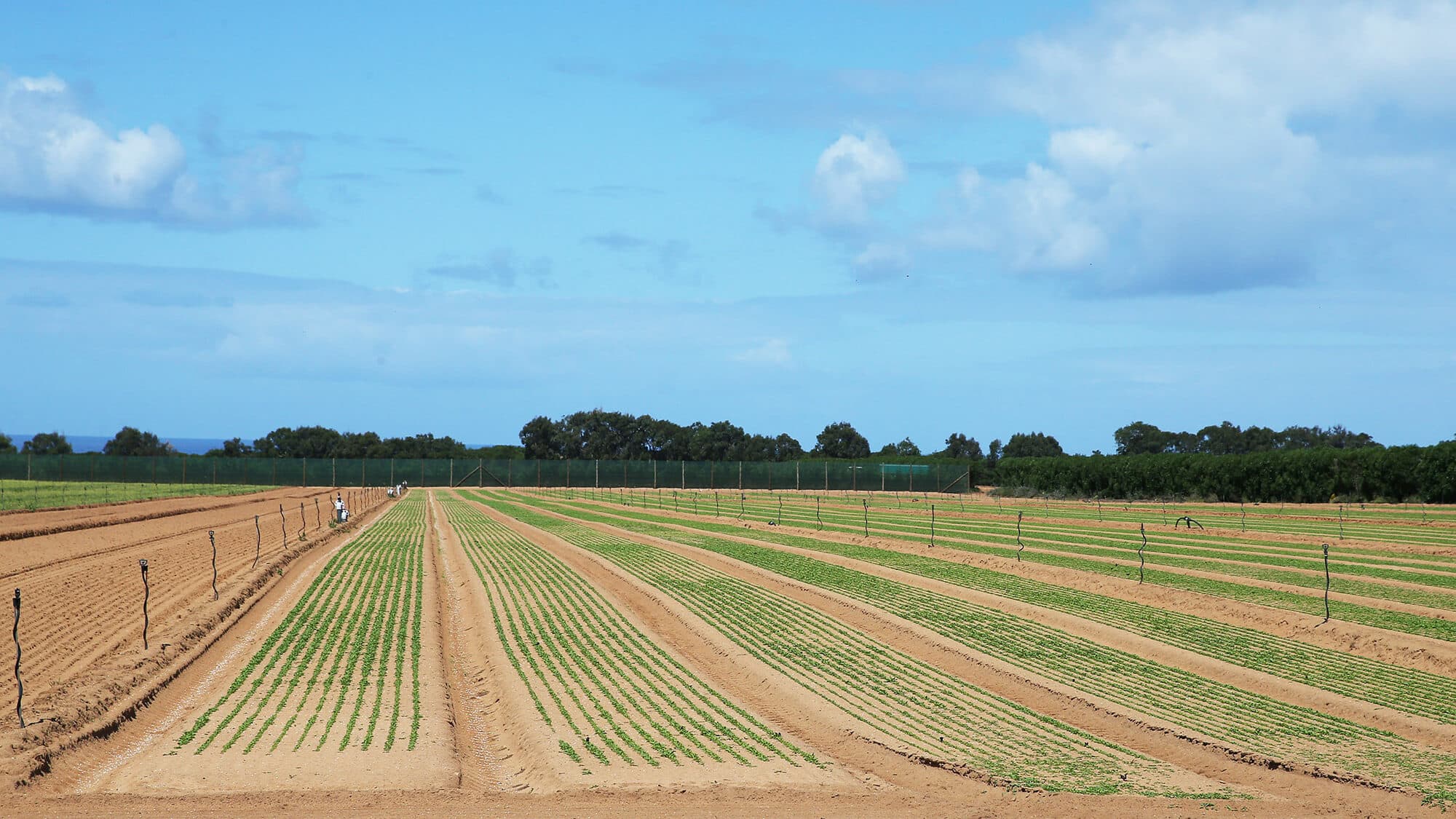 Land law has only generated 27 requests for reclassification from rural to urban