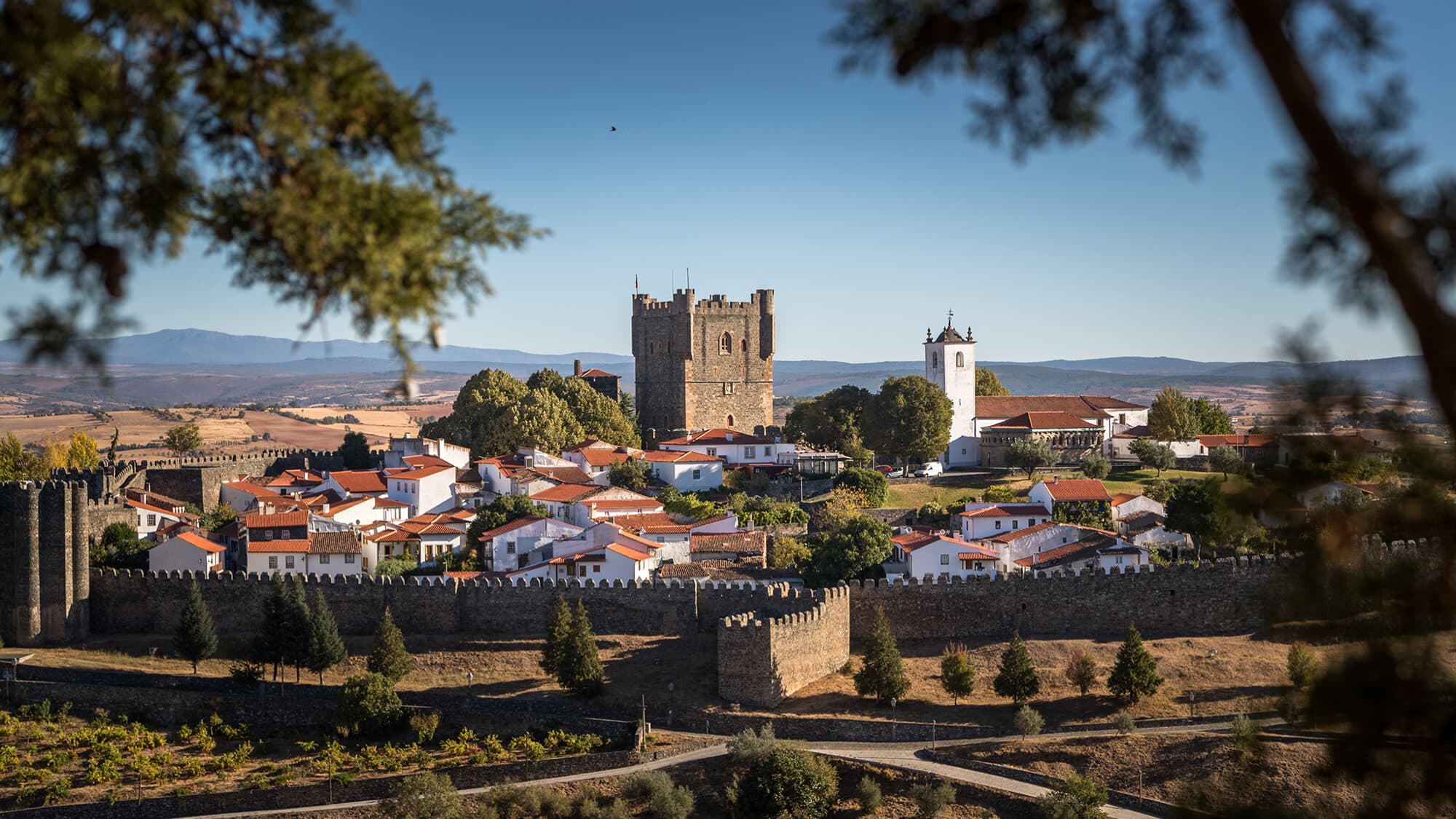 Insolvencies soar 71% in Bragança at the start of 2026