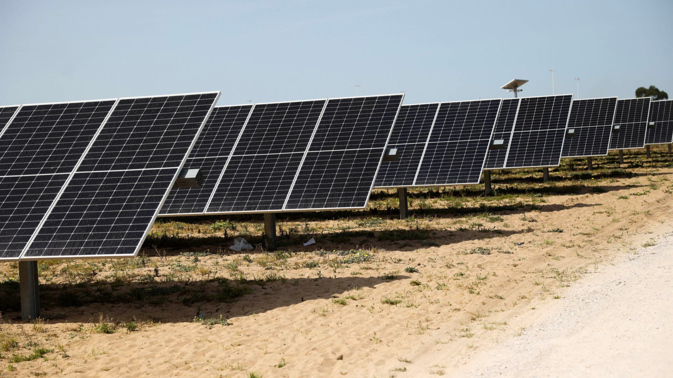 Court of Auditors rejects Barreiro renewable energy contract