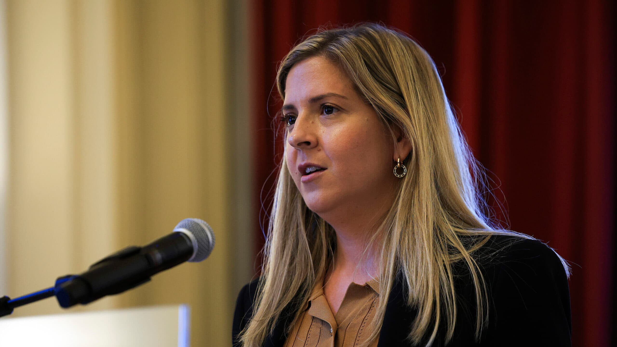 Government wants to review legislation on cultural merit subsidies