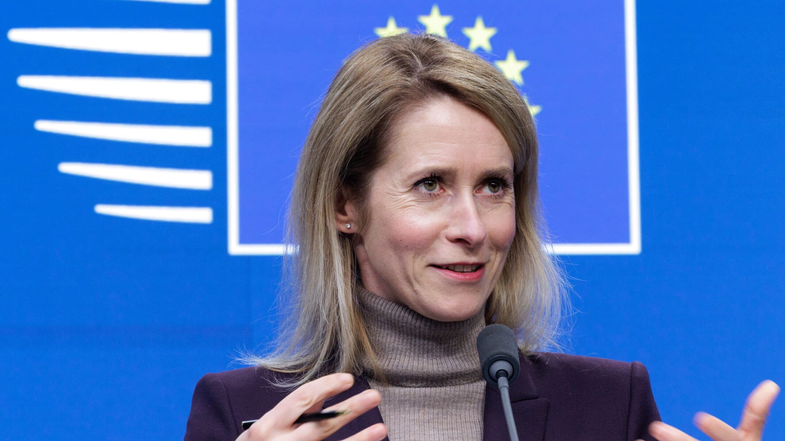Kallas disappointed with European defence industry production