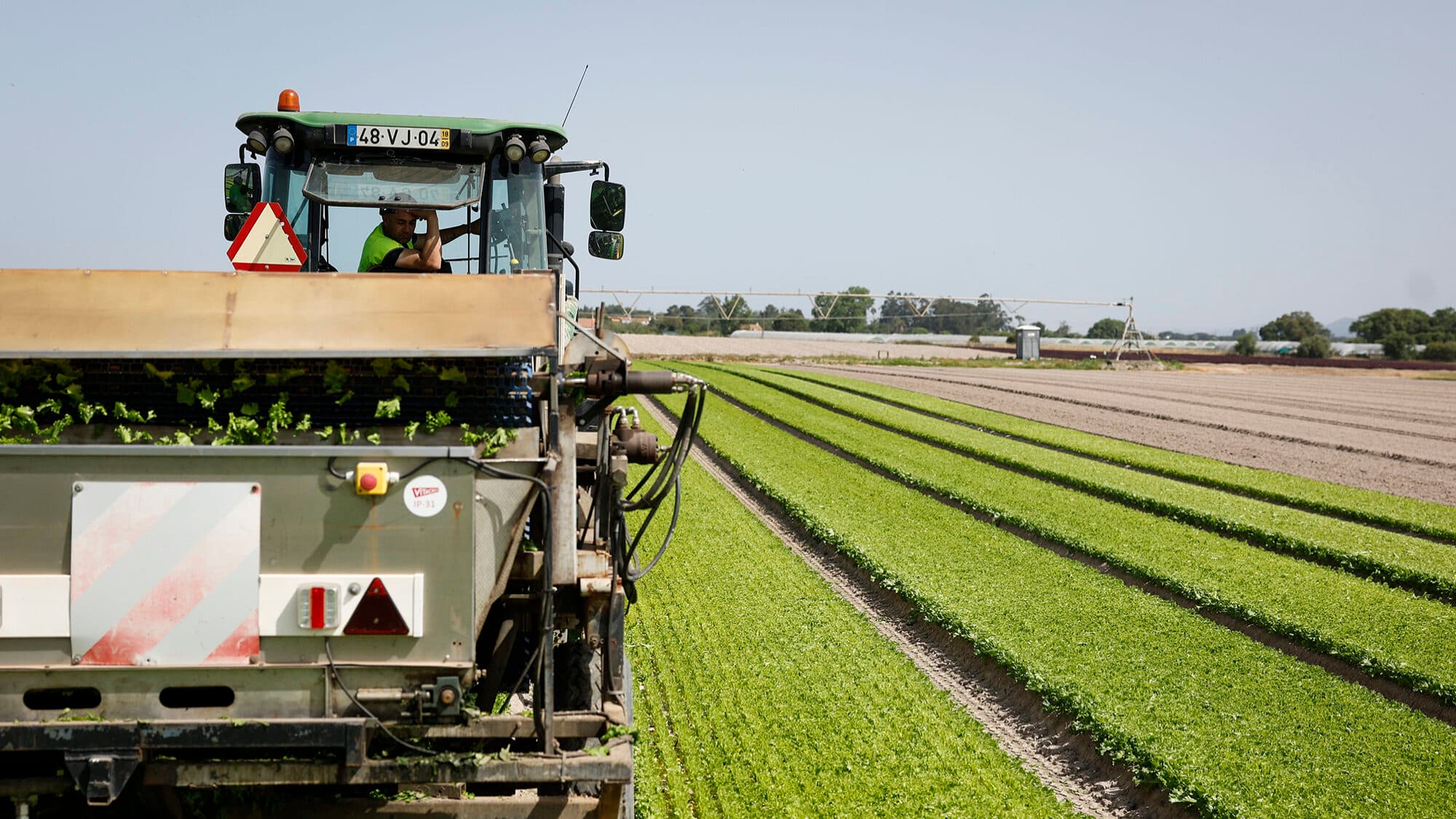 Brussels gives green light to 30 million in support for Portuguese farmers