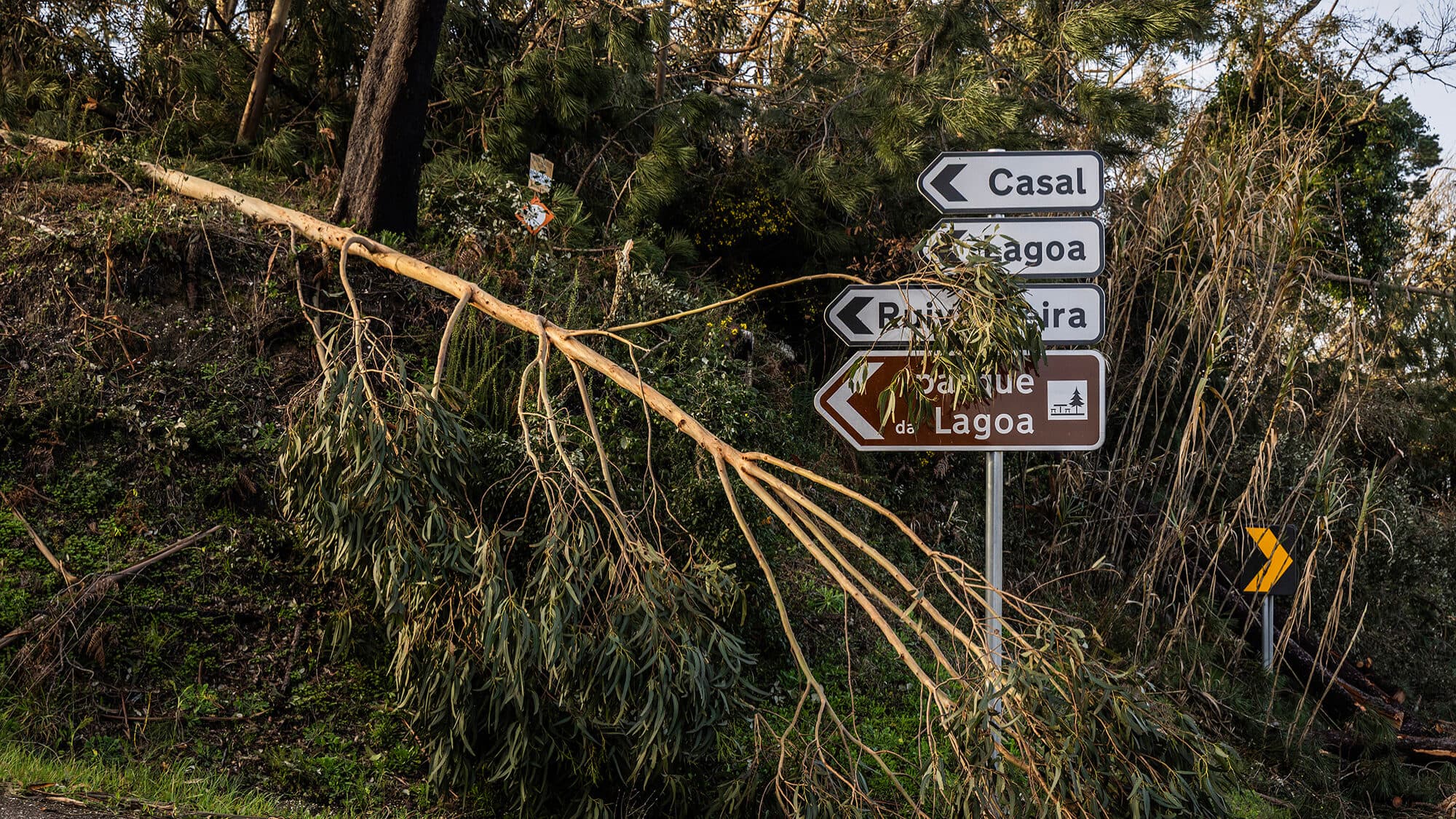 Storm Kristin: surge in claims prompts insurers to streamline processes and bolster teams