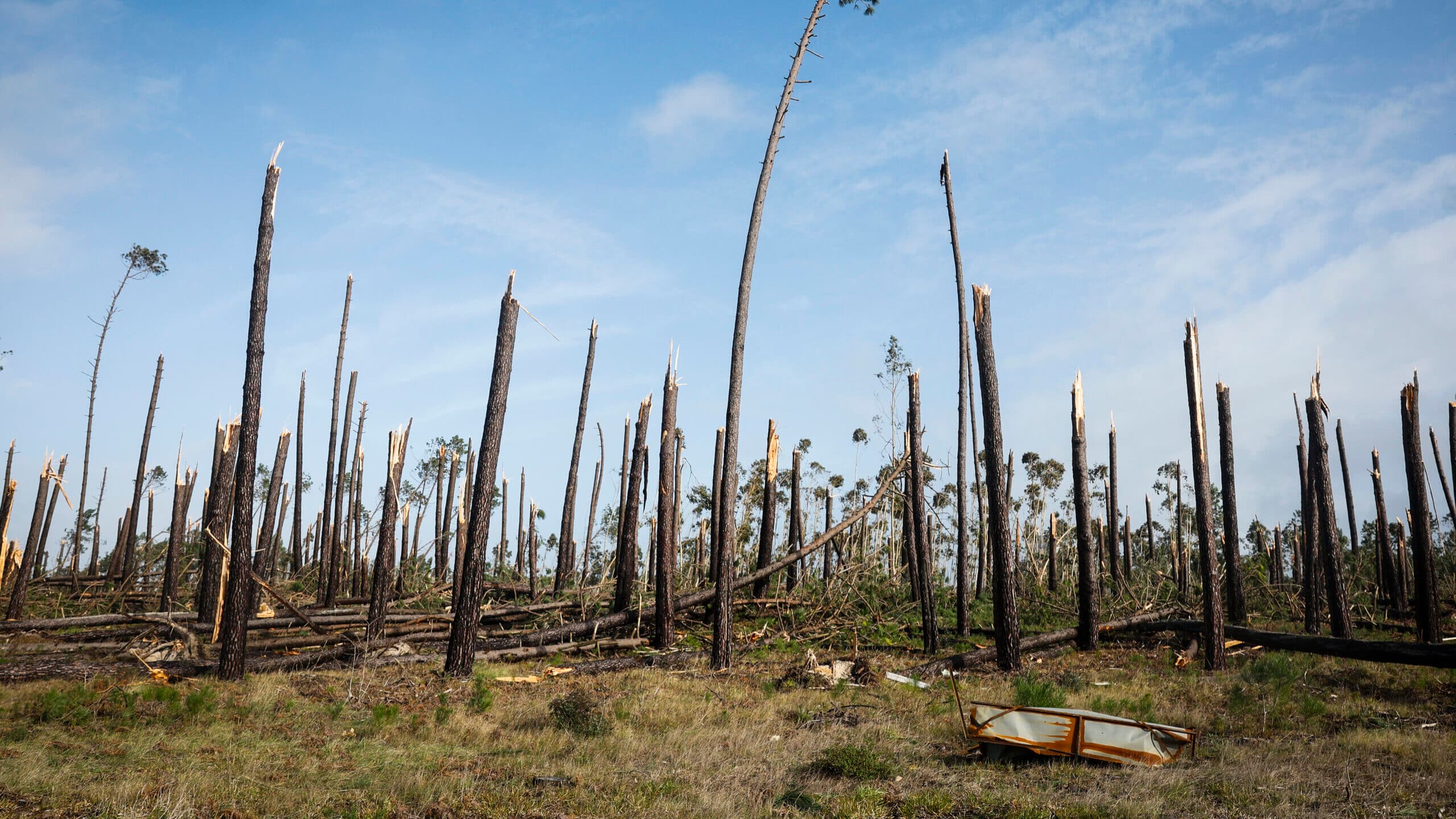Kristin: Tekever drones and one hundred volunteer workers map damage in Leiria