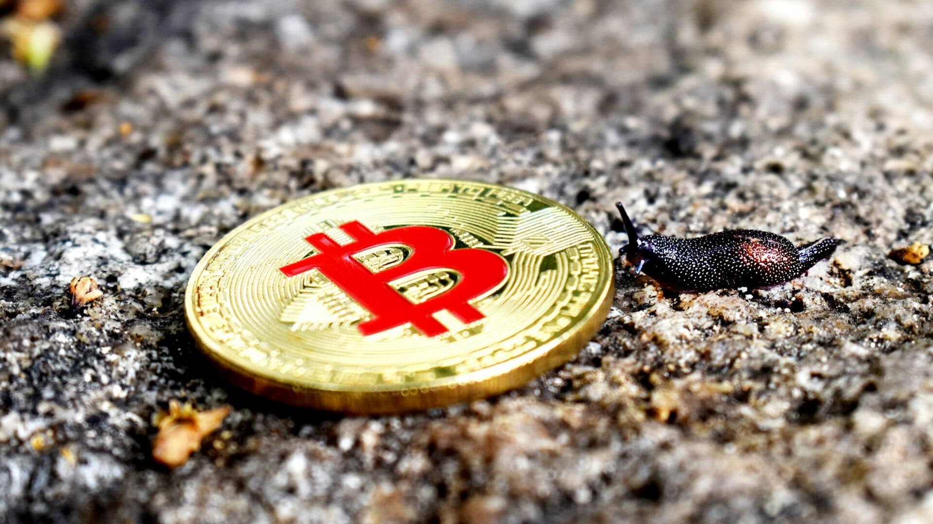 New rules on crypto-asset market now in force with fines of up to 5 million