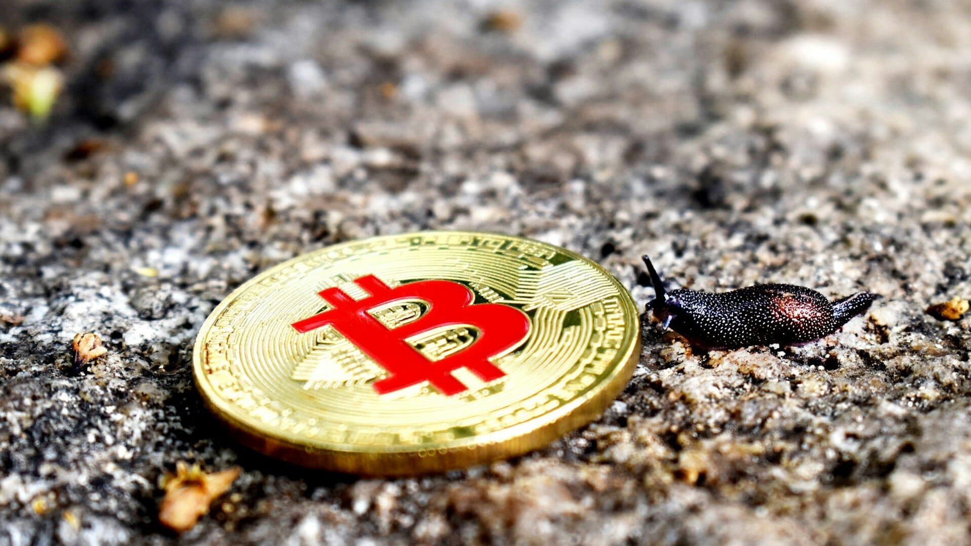 There are new rules for crypto-assets, find out what they are