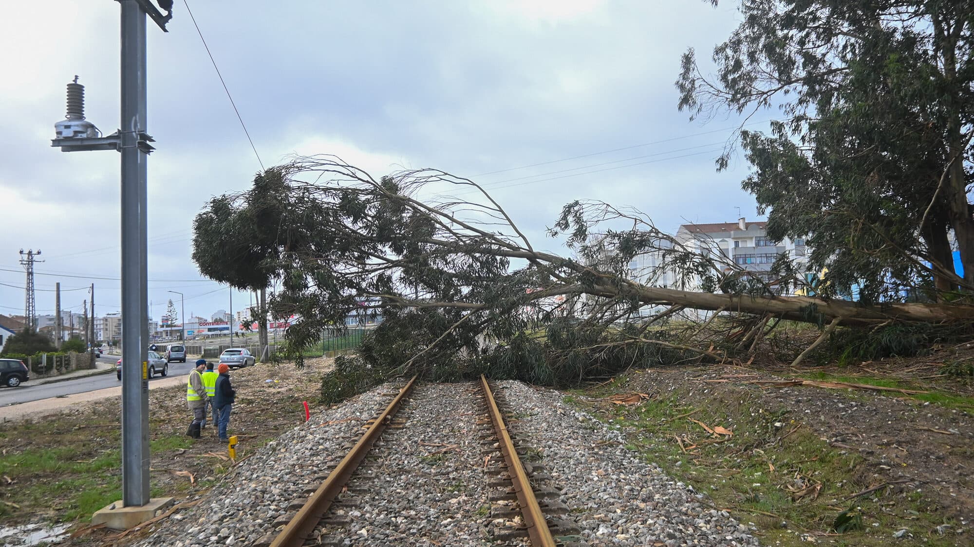 Fidelidade pays claims up to €5,000 without on-site inspection