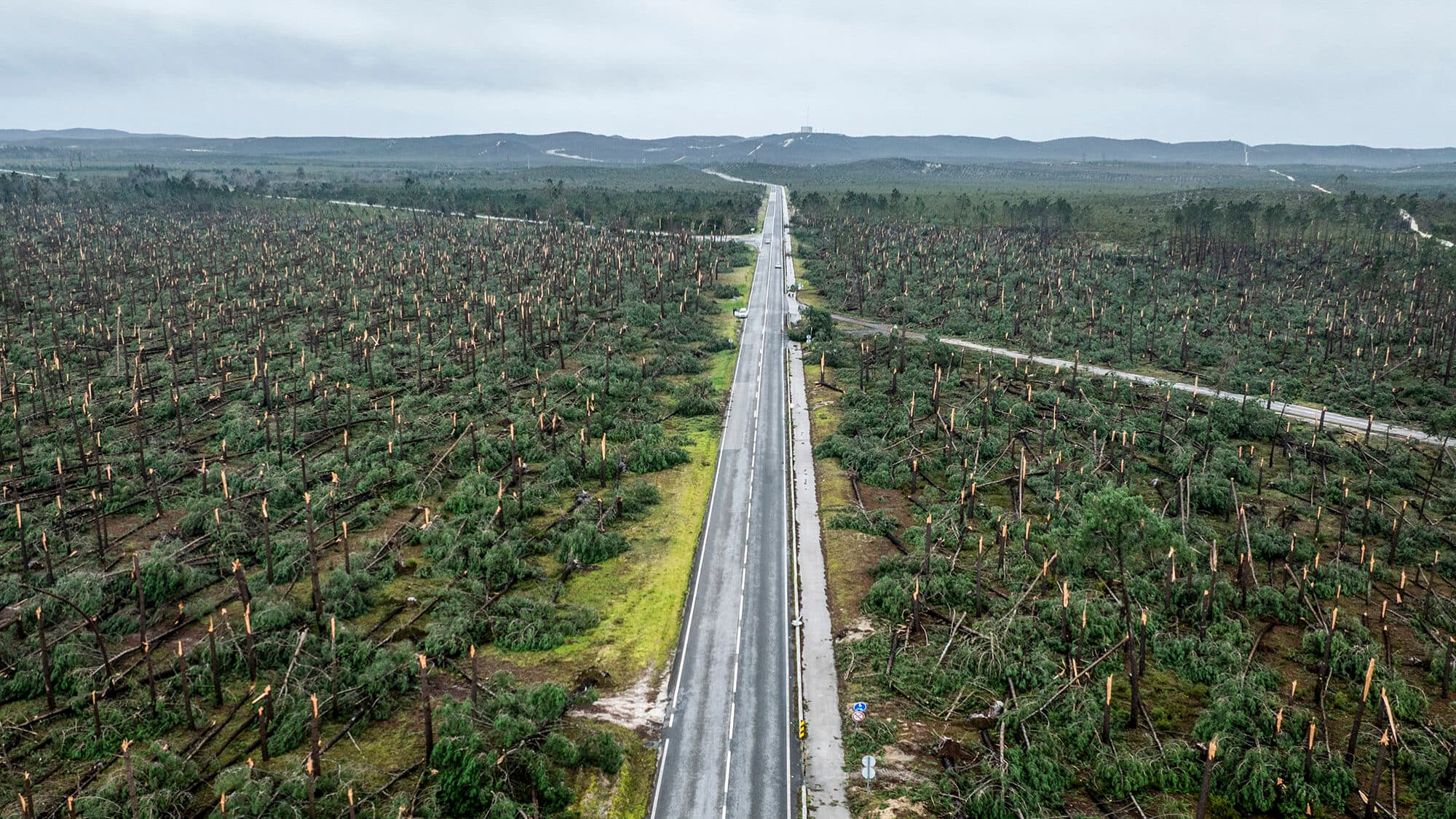 Thousands register to clear fire-prone land before summer season