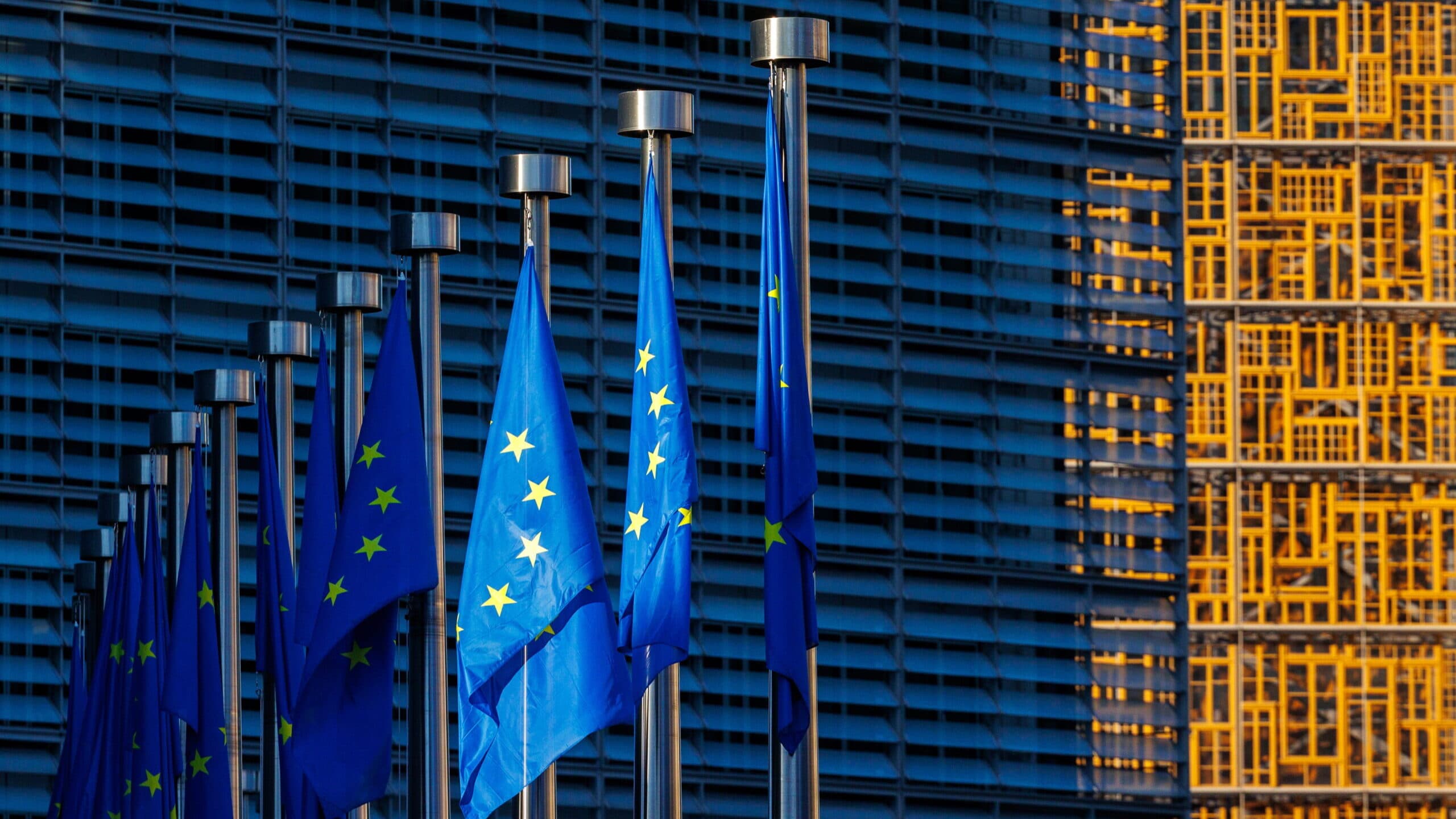 Brussels sues Portugal for failing to transpose directive on green transition