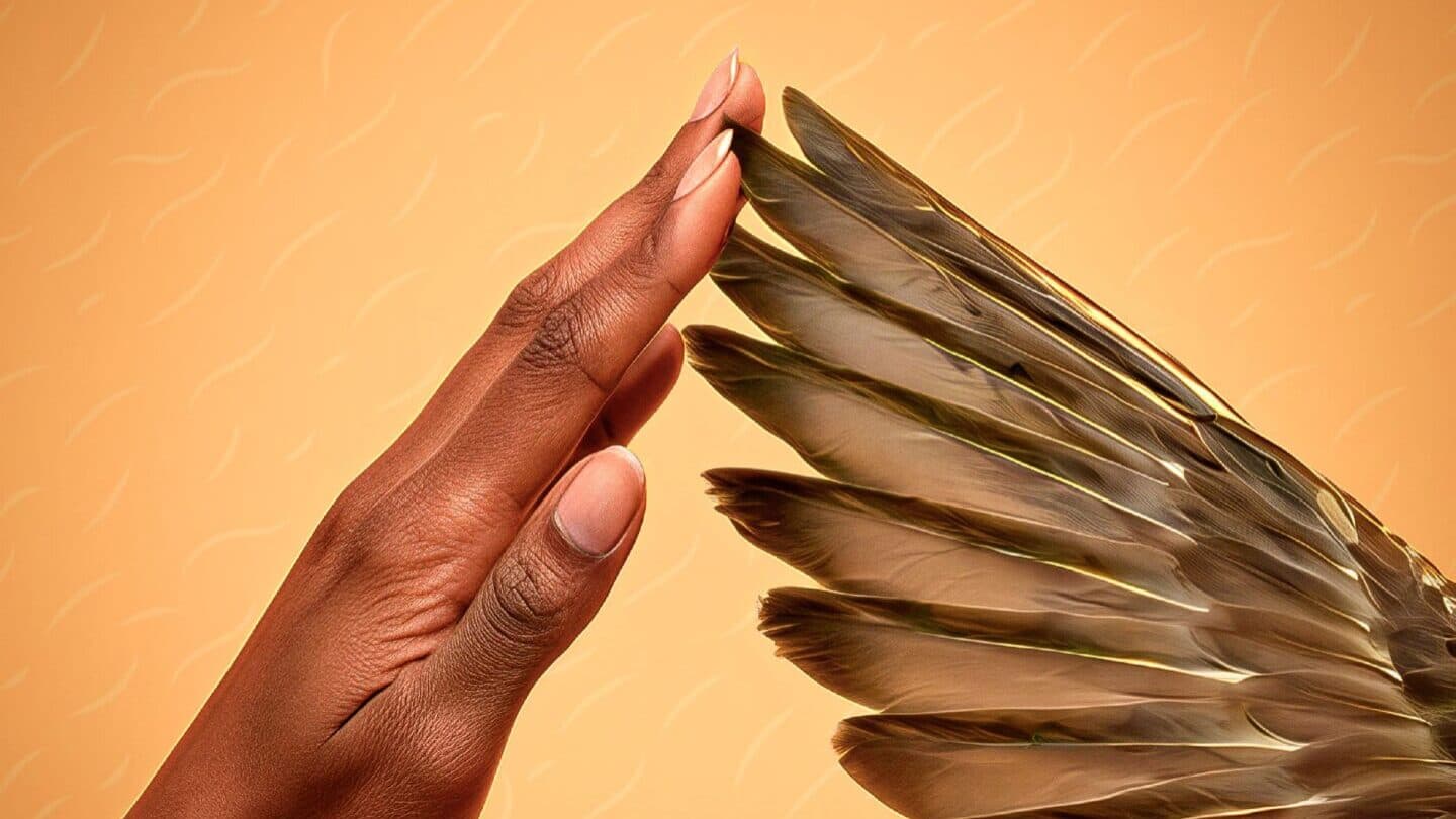 DDB Portugal launches digital solidarity campaign for the reconstruction of the SOS Animal Sanctuary