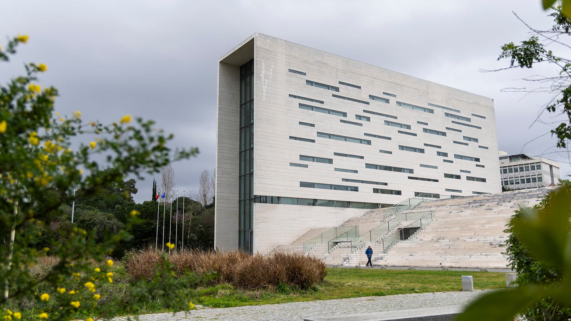 Court orders repeat of election for the rectorship of Nova de Lisboa