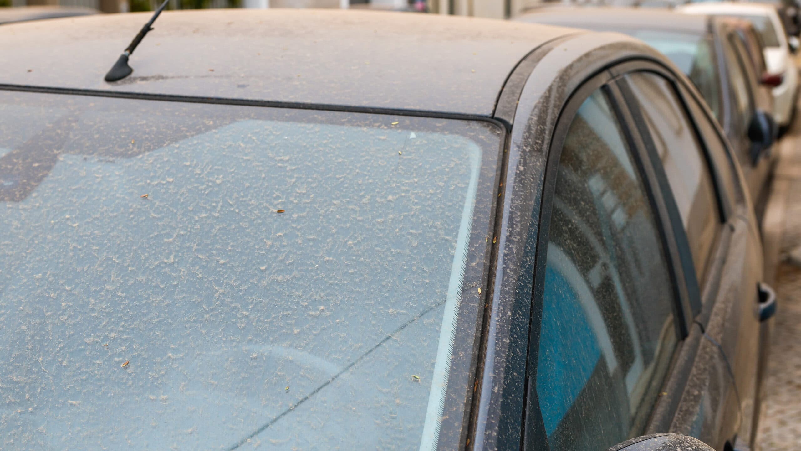 Poor air quality expected across Portugal until Thursday