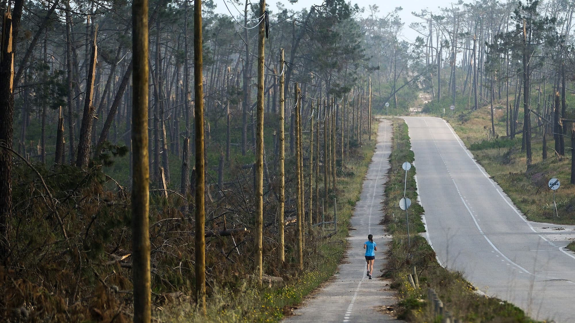 Wildfires cause concern after Kristin. Are we prepared for summer or will we be playing catch-up?