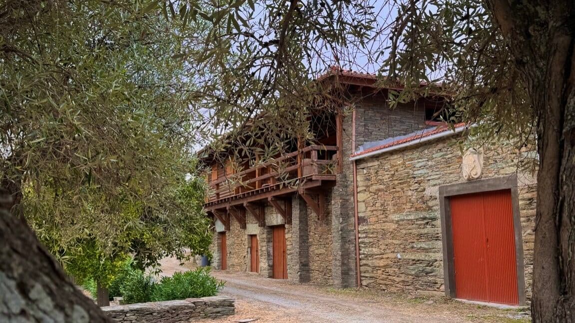 Olive oil from 300-year-old trees and rural tourism 'plant' 4 million euros in a Douro estate