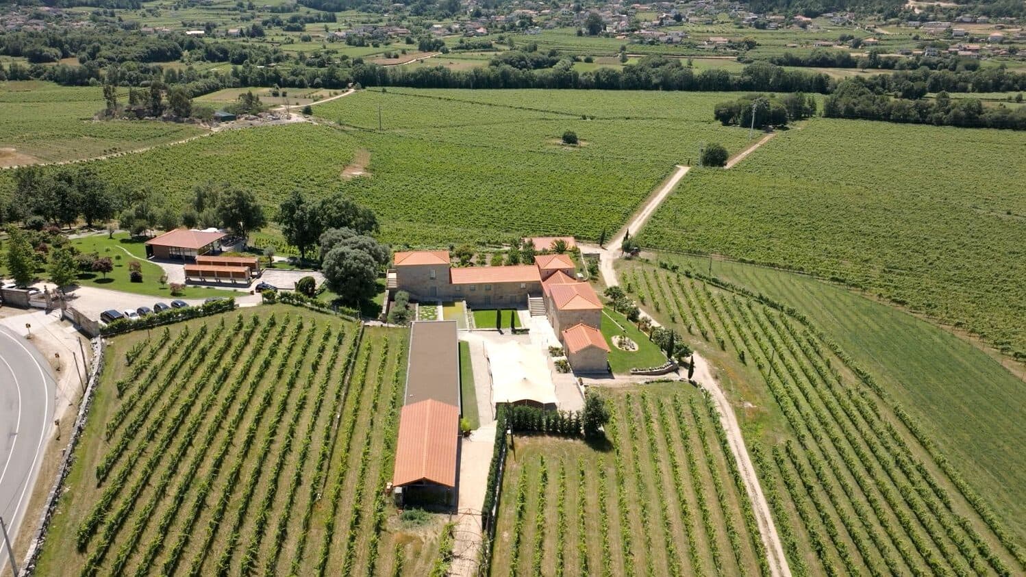 Alvarinho attracts investors and boosts exports from Monção and Melgaço
