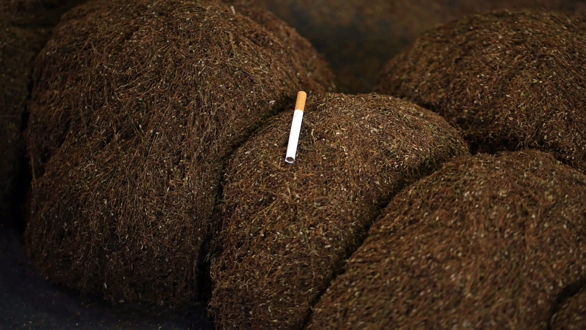 A single cigarette butt contaminates one thousand litres of water, warns pharmaceutical company