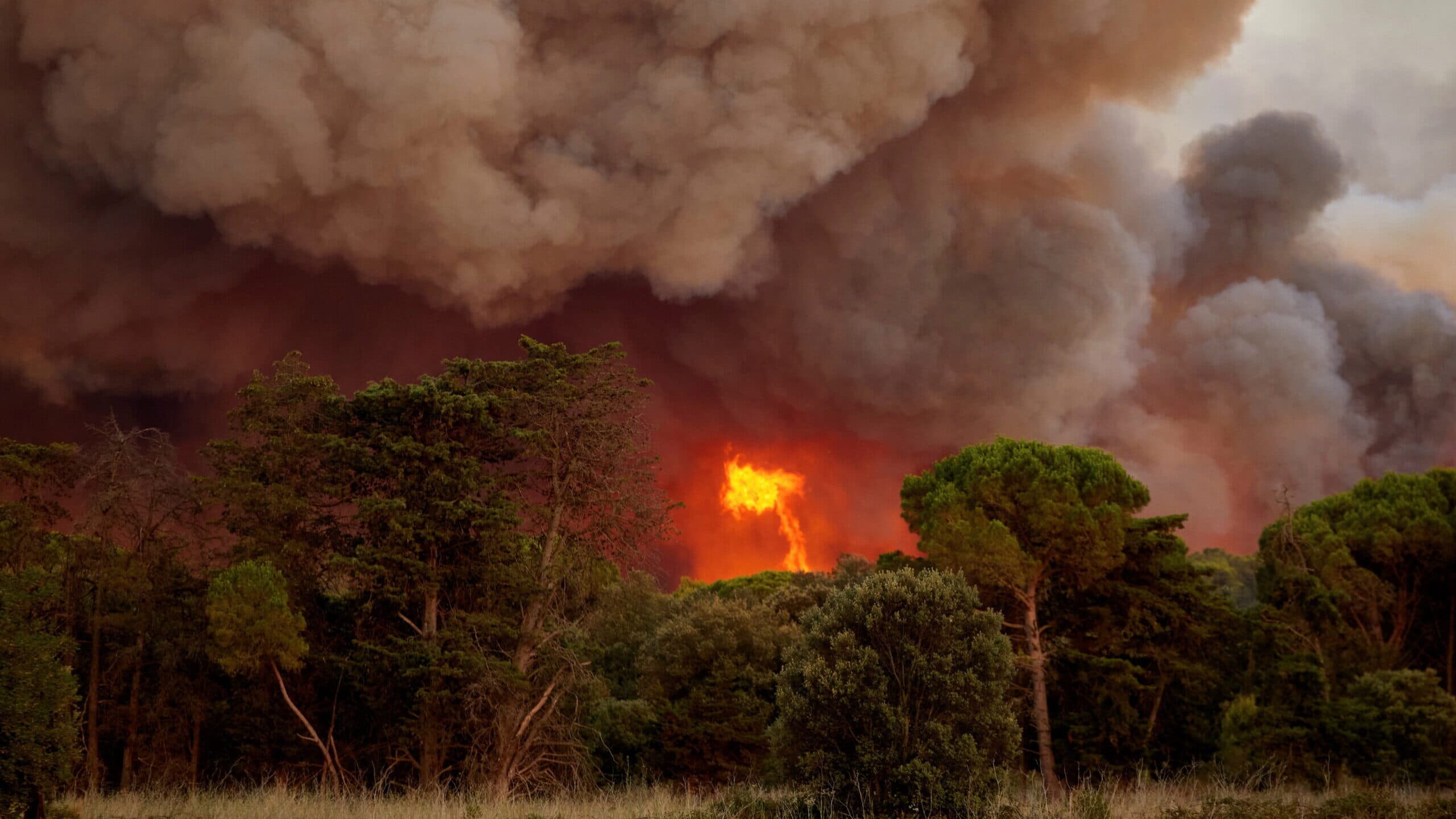 Thirteen municipalities in the interior North, Centre and Algarve at maximum fire risk