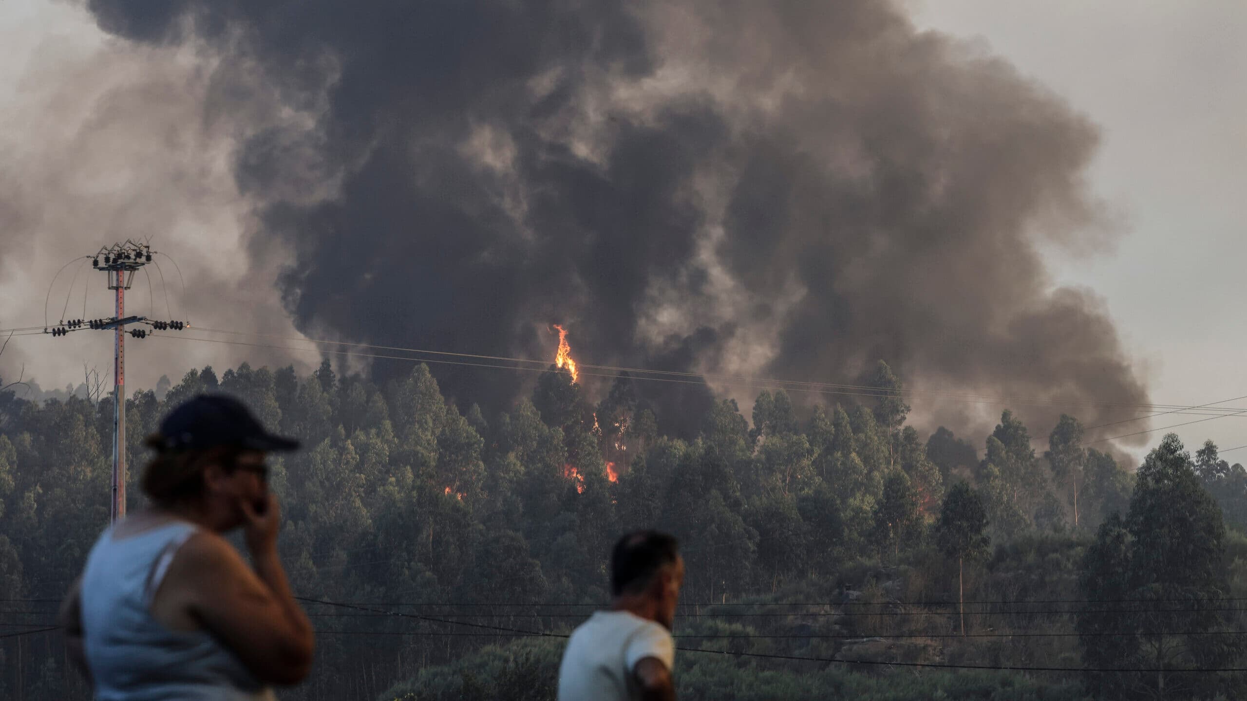 Around 50 municipalities in the interior North, Centre, and Algarve at maximum risk of fire