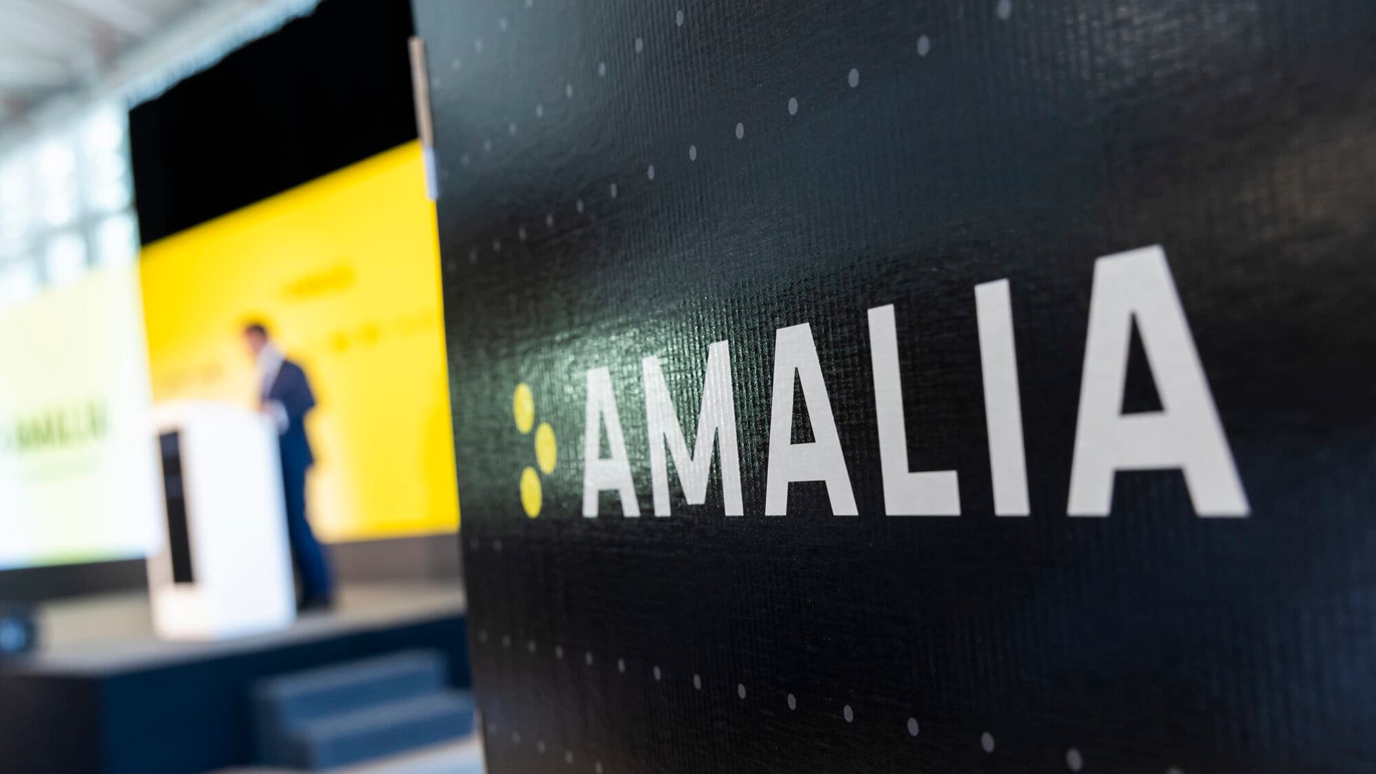 Government says it will “start a dialogue” with the media to train the next phase of the Amália AI model