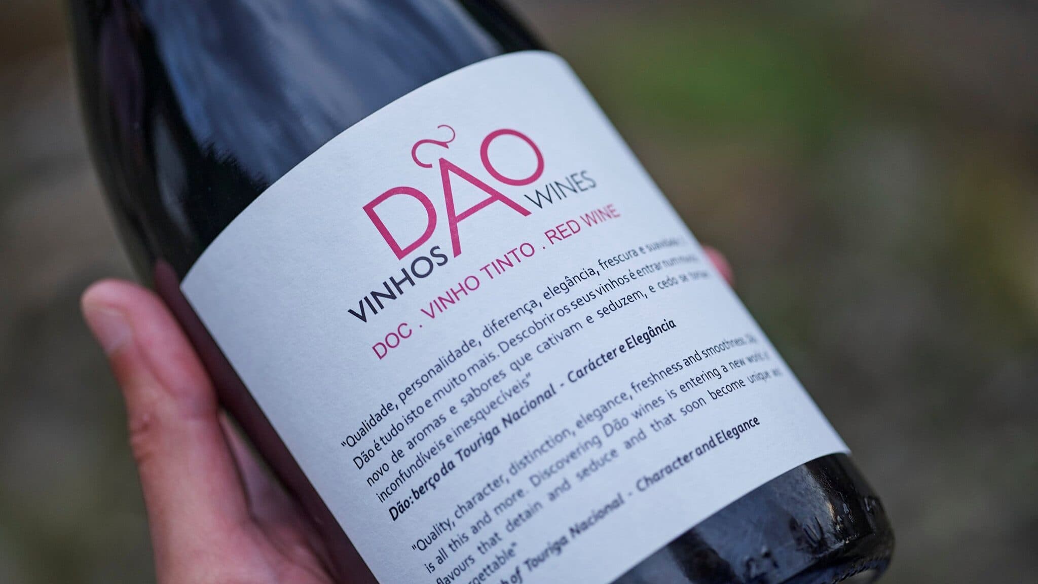 Dão anticipates 5% more wine in the 2026 harvest