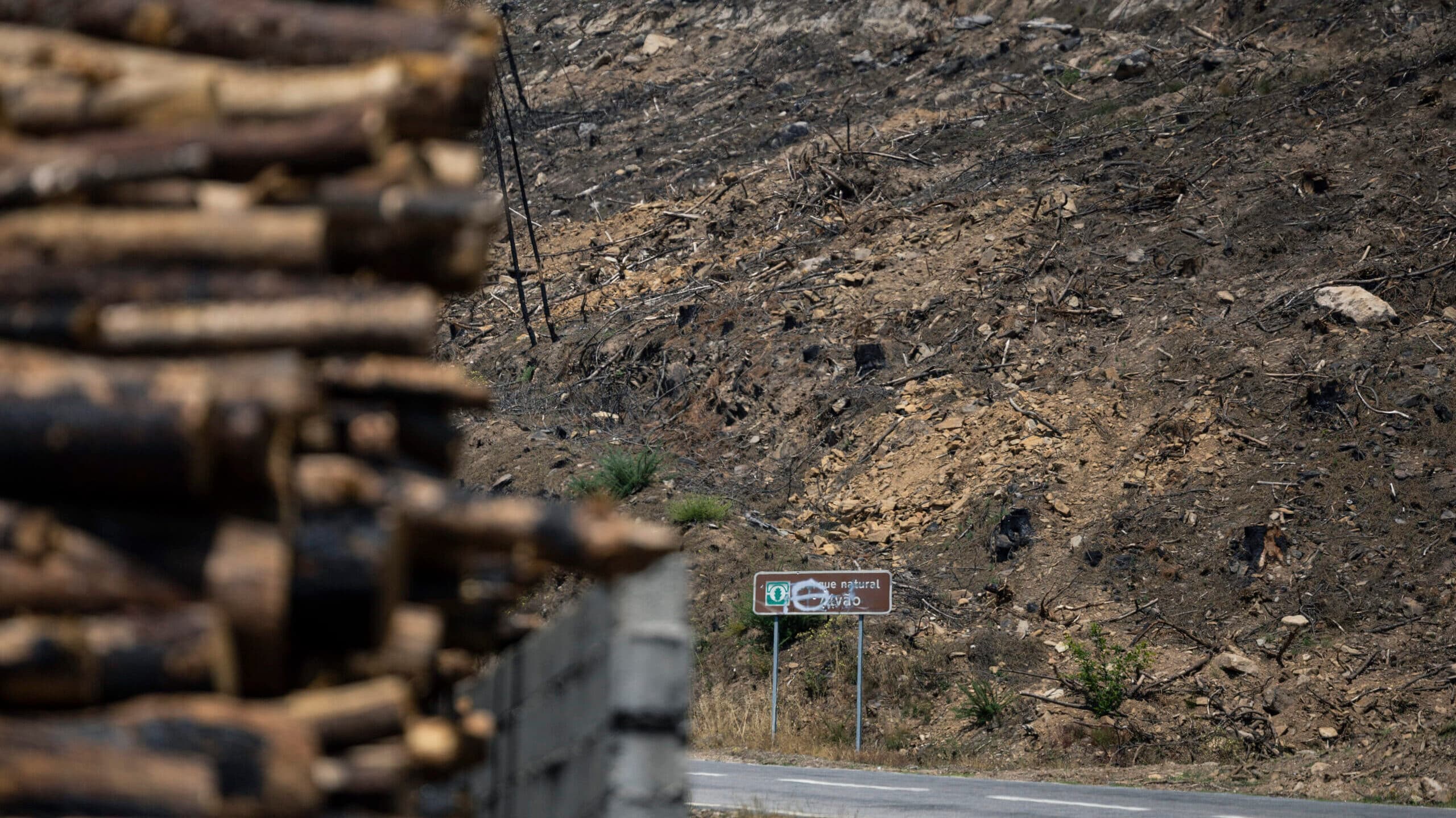 Around 60 municipalities in the interior and the Algarve at maximum fire risk