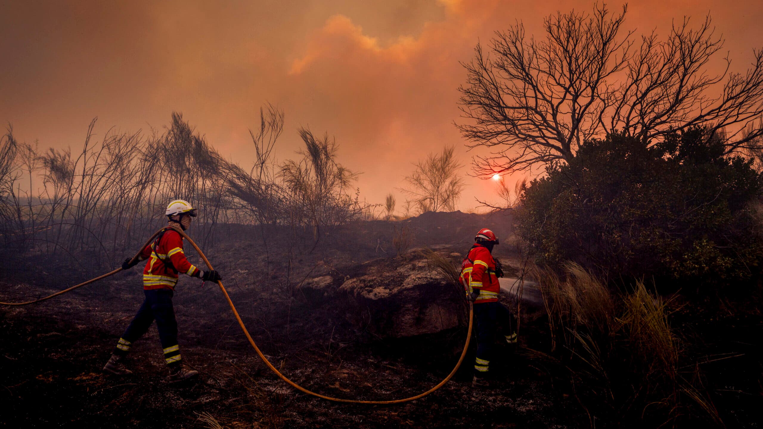 Wildfires: Government recognises Vouzela and Valpaços fires as a natural disaster