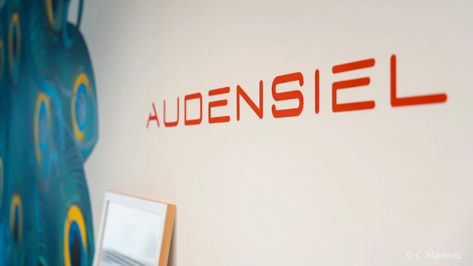 French group Audensiel enters Portugal with acquisition of consultancy LCG