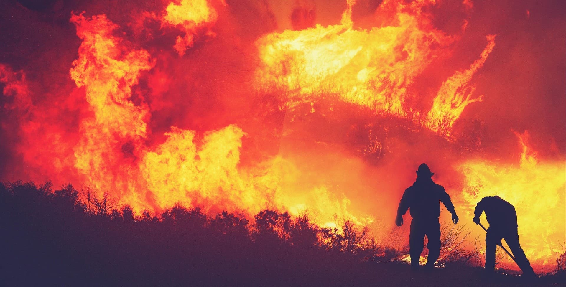 Wildfires: 4 million euro project aims to strengthen cooperation between Portugal and Spain