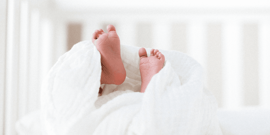 Births increased in Portugal (but so did the number of deaths)