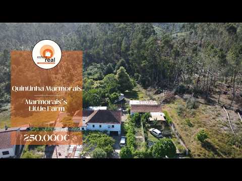 House with Guest Cottage & Land | Space and Versatility in Central Portugal - ESFERA REAL