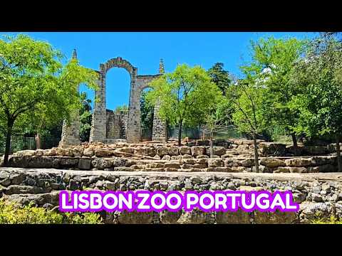 Inside Europe's Oldest Wildlife Park || Wild Wonders At The Lisbon Zoo (Jardim Zoológico De Lisboa)