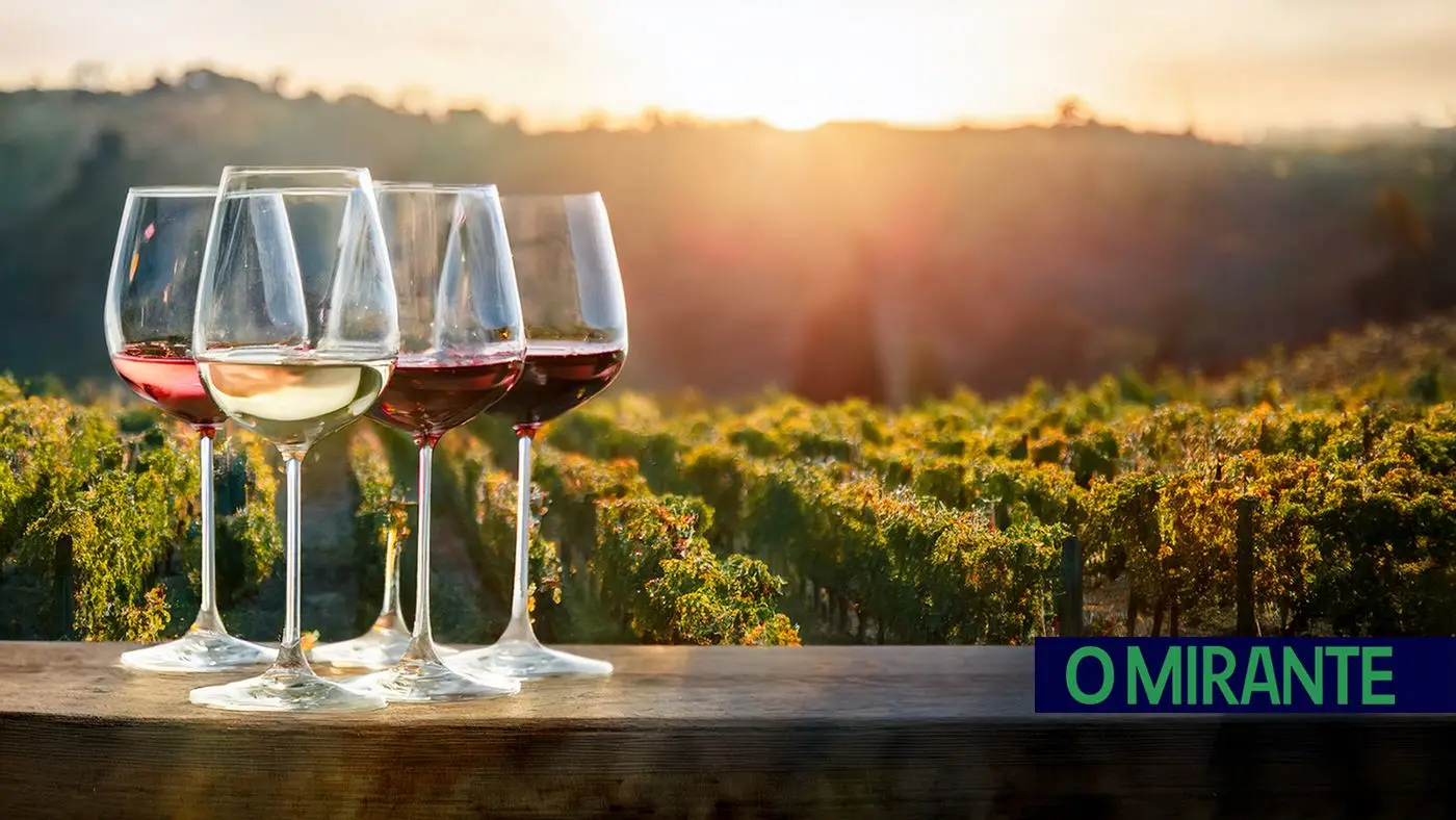 Central Portugal took the region's wines and wine tourism to Brazil