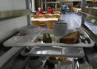 More and more municipalities are offering free meals to students